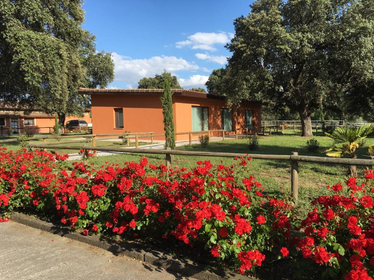 Finca Casaes Apartamentos Torralba de Oropesa Eksteriør bilde